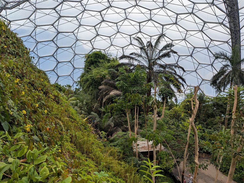 Palm trees and a plant-covered rockface under a hexagonal roof.