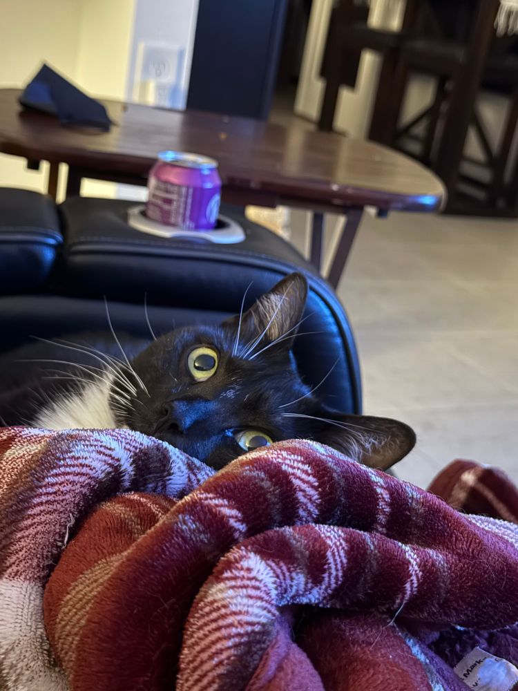 A tuxedo cat on a couch peeking over a blanket that he’s laying on. His yellow eyes are wide open.