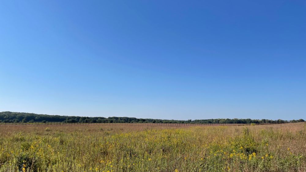 The sky and prairie