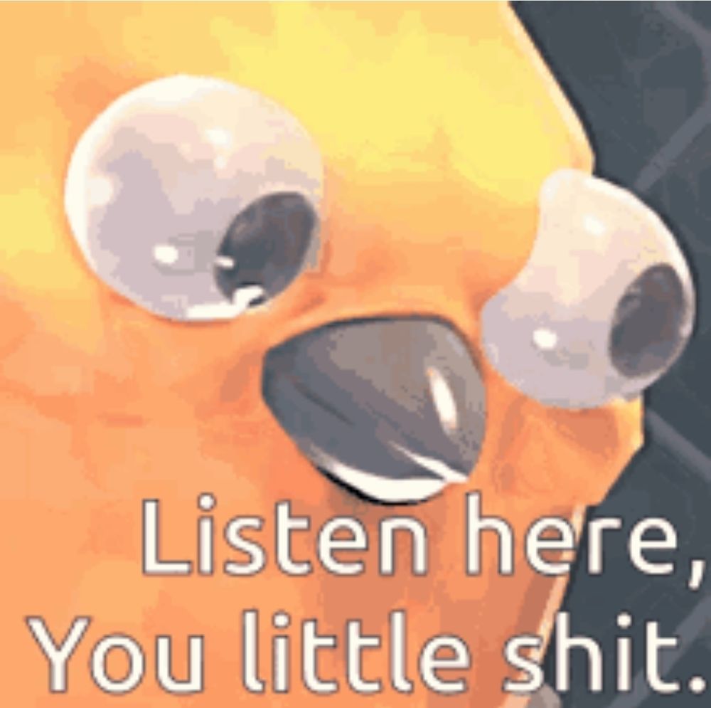 Meme of that bird with bulging eyes and the text that reads "Listen here, you little shit."