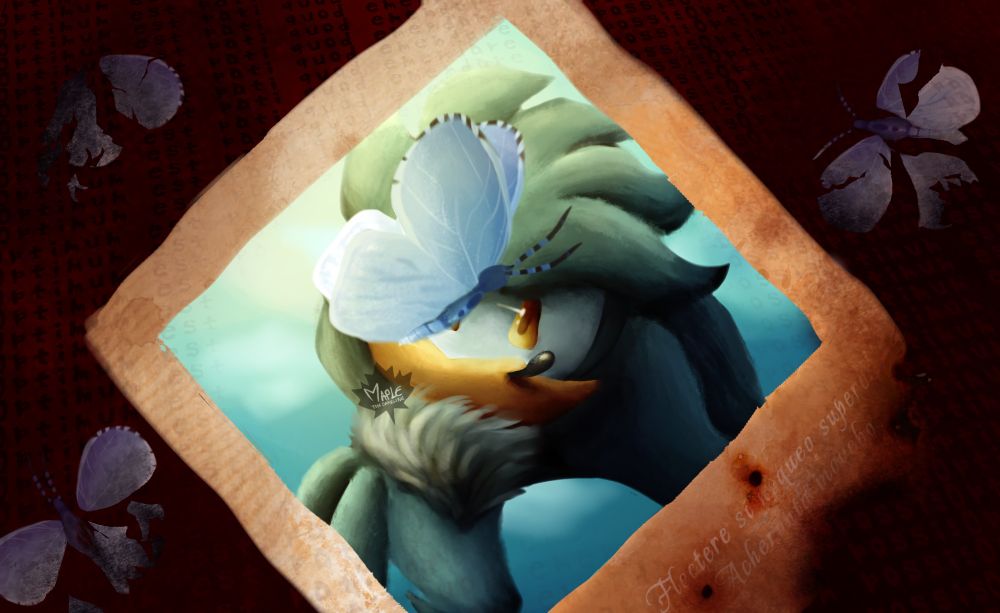 Digital art of Silver the hedgehog inside of a picture, blue skies on the background and a butterfly covering his eye. The outside of the picture is burned down, and outside of it there’s a red background and three dead, burned butterflies 