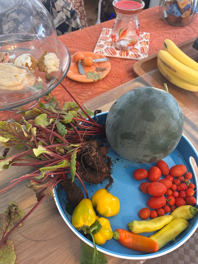 November harvest: beets; personal size watermelon; sweet peppers; banana peppers; grape & Cherry tomatoes 