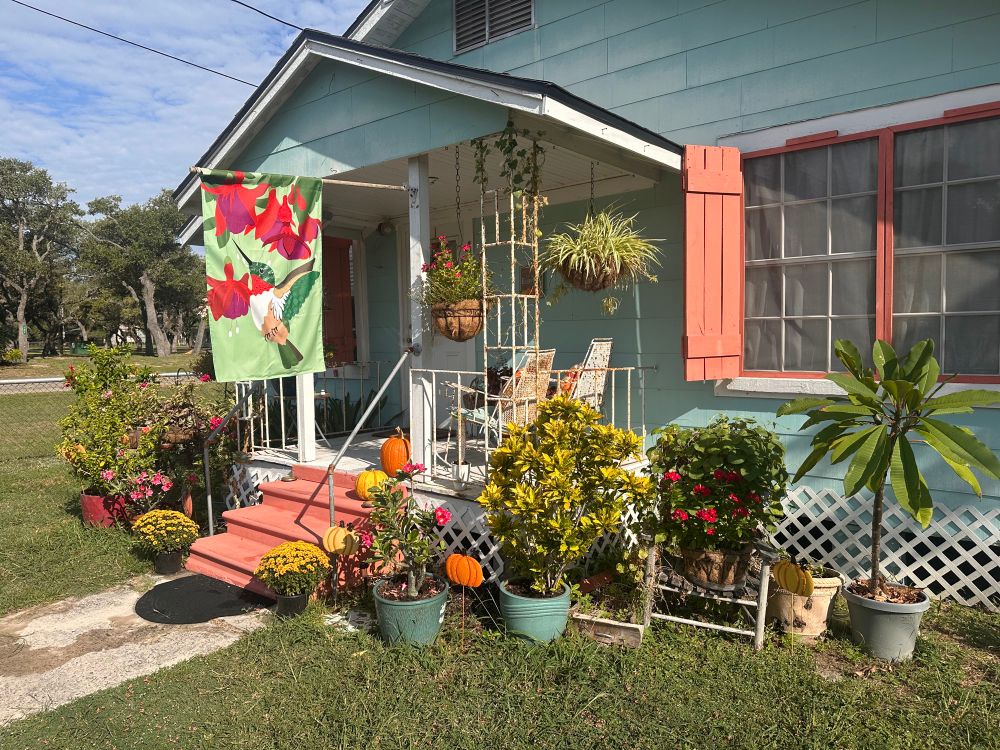 Front porch of house surrounded by plants. Plumeria, desert rose, mums, impatiens, bougainvillea morning glory, spider plant. 