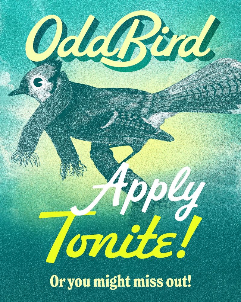 A stylized teal and lime green graphic of a blue jay wearing a scarf. The text says Apply tonite or you might miss out!