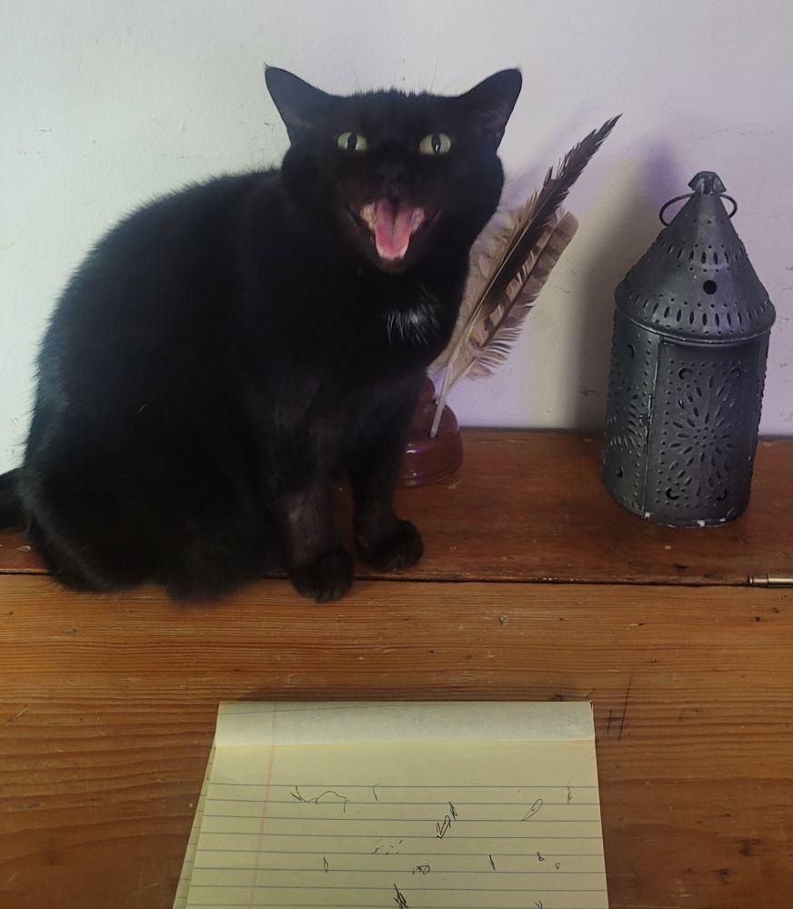 The Void sitting on an antique desk next to an ink well and a punched tin lantern yelling at me.