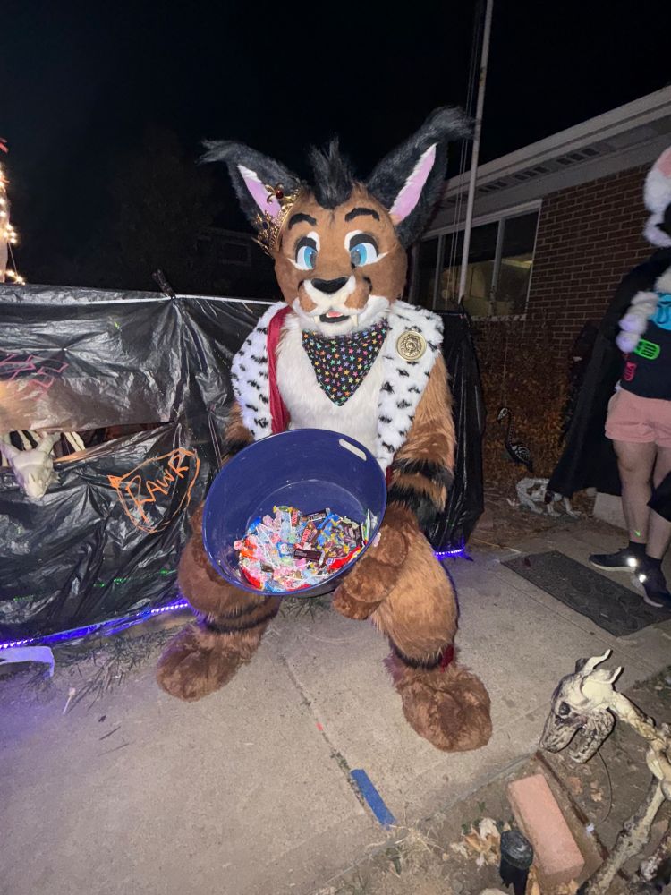 The Duke-Baron Cooper Caracal is in a partial squat by the front door of a house, holding a bucket partially full of candy for trick-or-treaters.