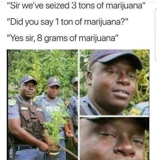 "Police officers holding a small marijuana plant with text overlay making fun of exaggerated claims, stating: 'Sir we've seized 3 tons of marijuana.' 'Did you say 1 ton of marijuana?' 'Yes sir, 8 grams of marijuana.' The bottom section features a close-up of an officer looking high."

