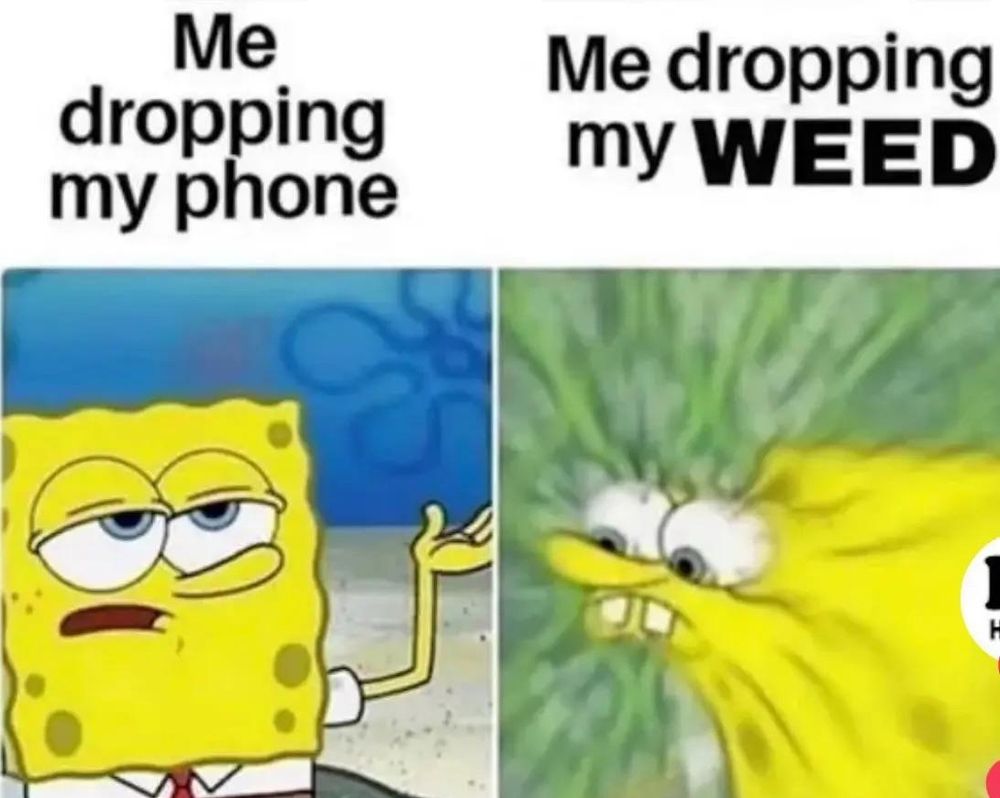This image features a two-panel meme with SpongeBob SquarePants. The left panel shows SpongeBob with a bored, dismissive expression and the text “Me dropping my phone.” The right panel shows a distorted, panicked SpongeBob, with wild green energy surrounding him and the text “Me dropping my WEED.” This humorously contrasts a casual reaction to dropping a phone with a more frantic response to dropping weed.