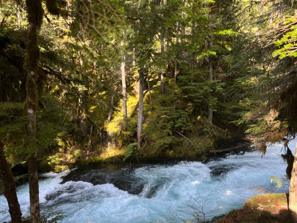 McKenzie River