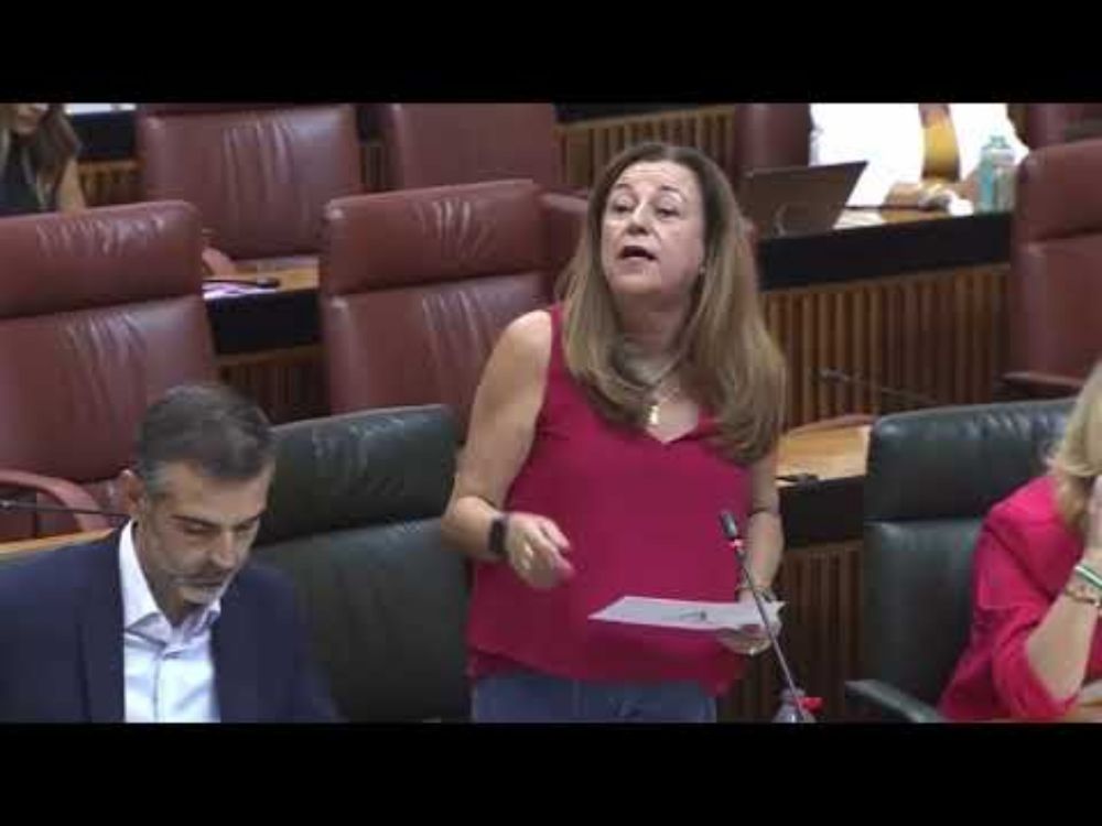 El PP andaluz defiende el Programa de Lengua Árabe y Cultura Marroquí: María del Carmen Castillo