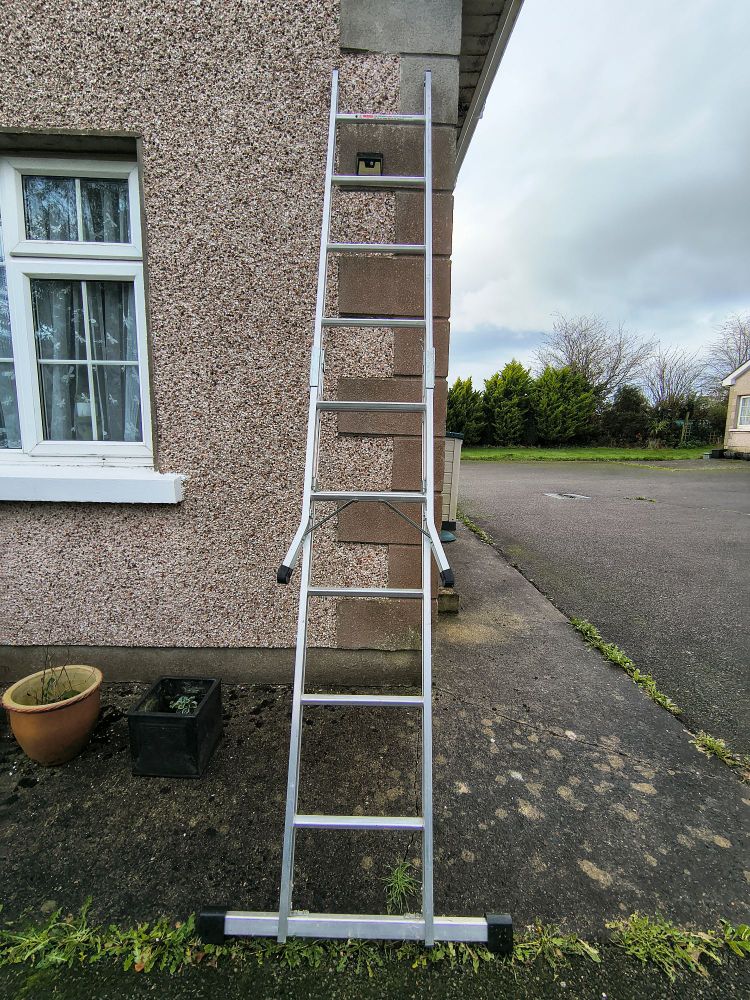 A ladder leant up against a wall. 