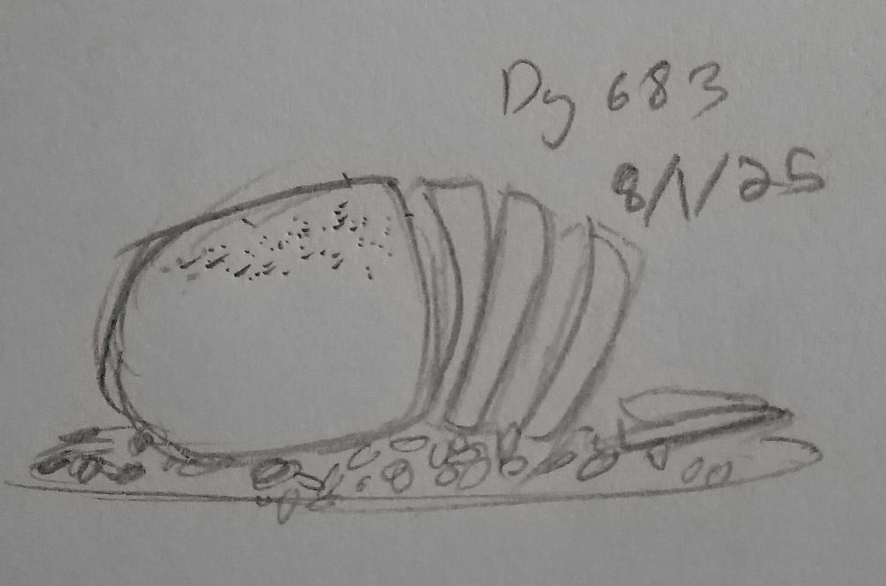 a sketch of a plate of some sliced tofurkey