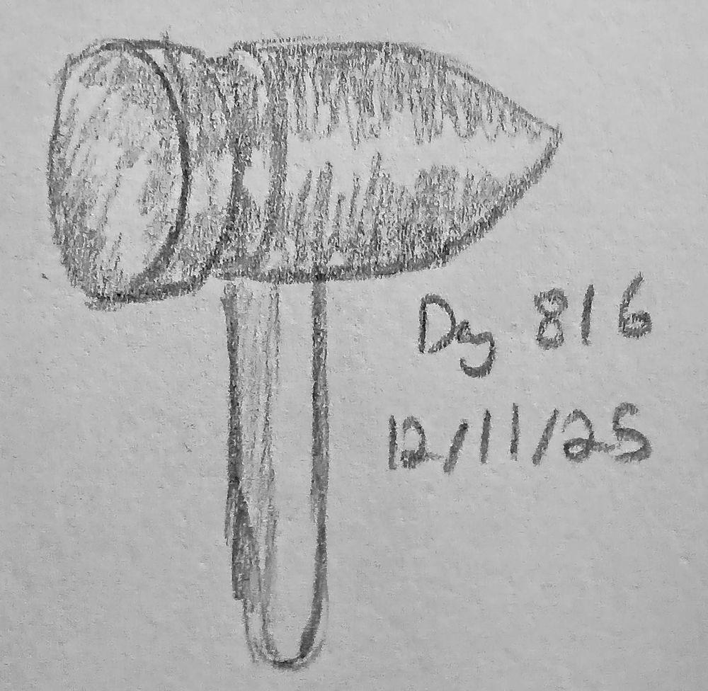 a sketch of a hammer