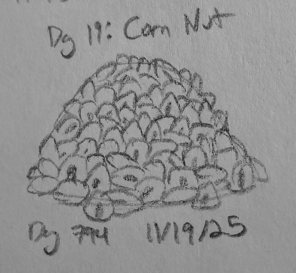 a sketch of a pile of corn nuts