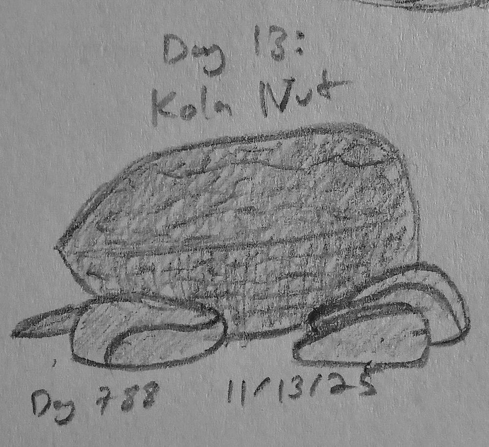 a sketch of a kola nut fruit, with a few kola nuts scattered around it.