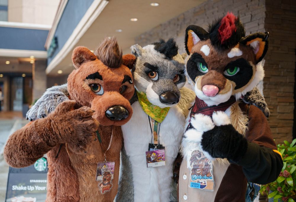 Pog the brown otter, Uno the grey and white otter, and Blackjack the ferret pose for a picture in front of the Sheraton hotel at VF 2025 during the OFA Studios photo shoot.
