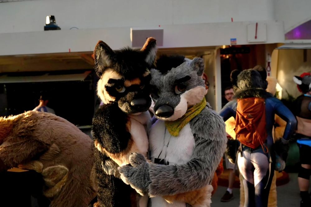 Nitro the GSD fursuit and Uno the grey and white otter fursuit embrace aboard the Hiya party ferry.
