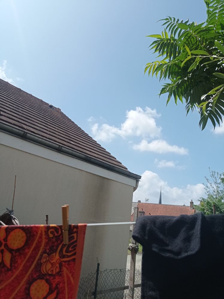 Un ciel bleu avec le mur et une toiture en fond à gauche et du linge qui sèche en 1er plan, et du feuillage en haut à droite façon palmier 



