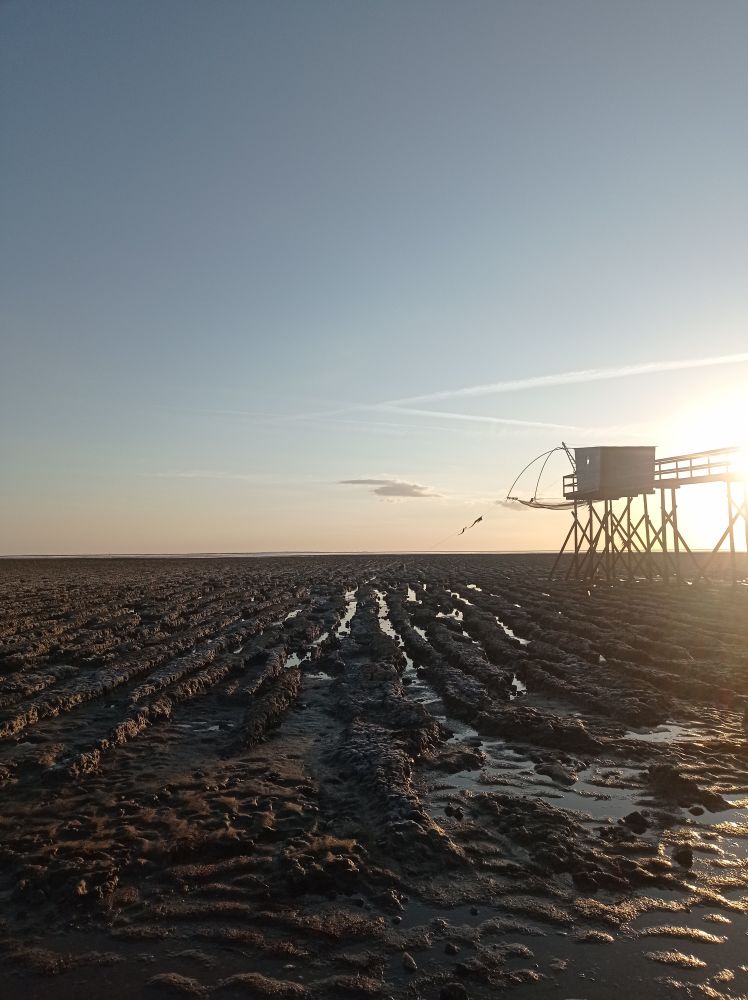 Cabane de pêcheur en baie de Retz, vue à marée basse avec la vasière au premier plan 