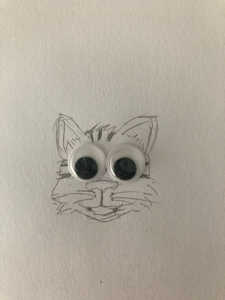 A quick sketch of a cat around two googly eyes