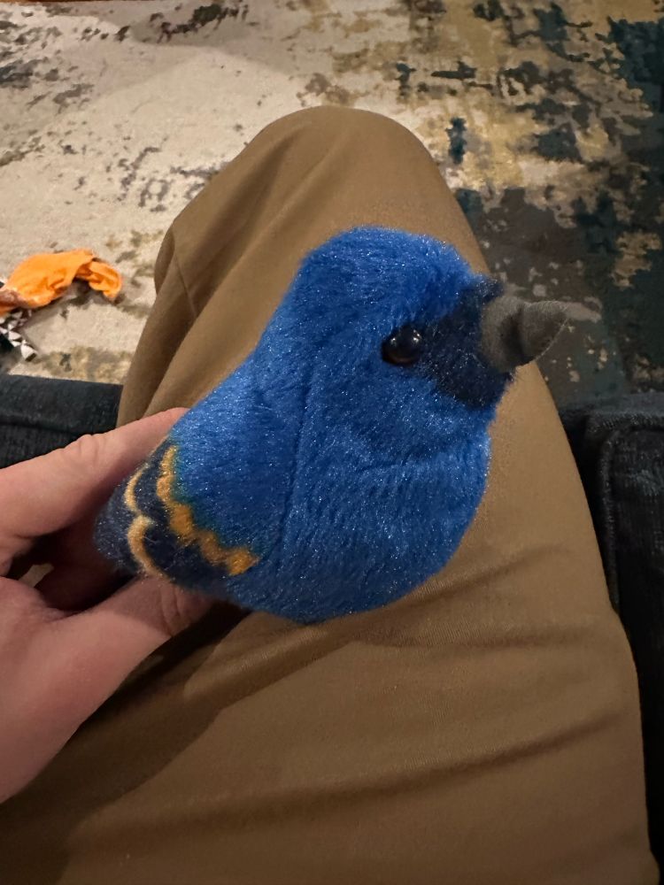 A picture of a plush blue grosbeak, looking as smug as a plush bird can look.