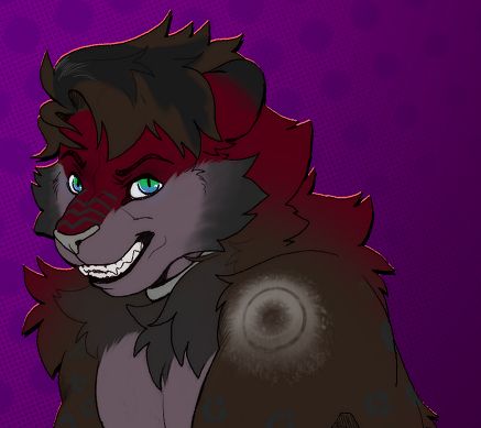 A partial side-profile bust shot of Zerum, the mini snow leopard, snarling towards the camera to show off his teeth!