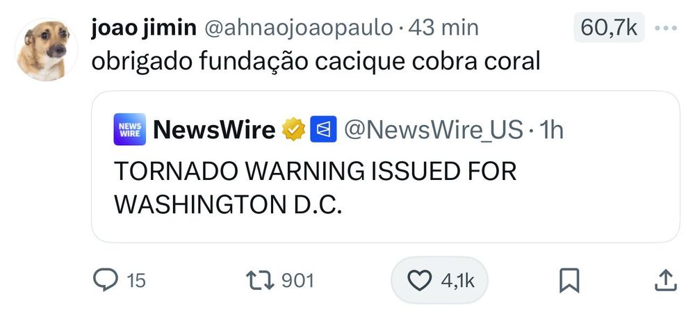 Tuite com a notícia "Tornado warning issued for Washington DC" repostado com "obrigado fundação cacique cobra-coral"