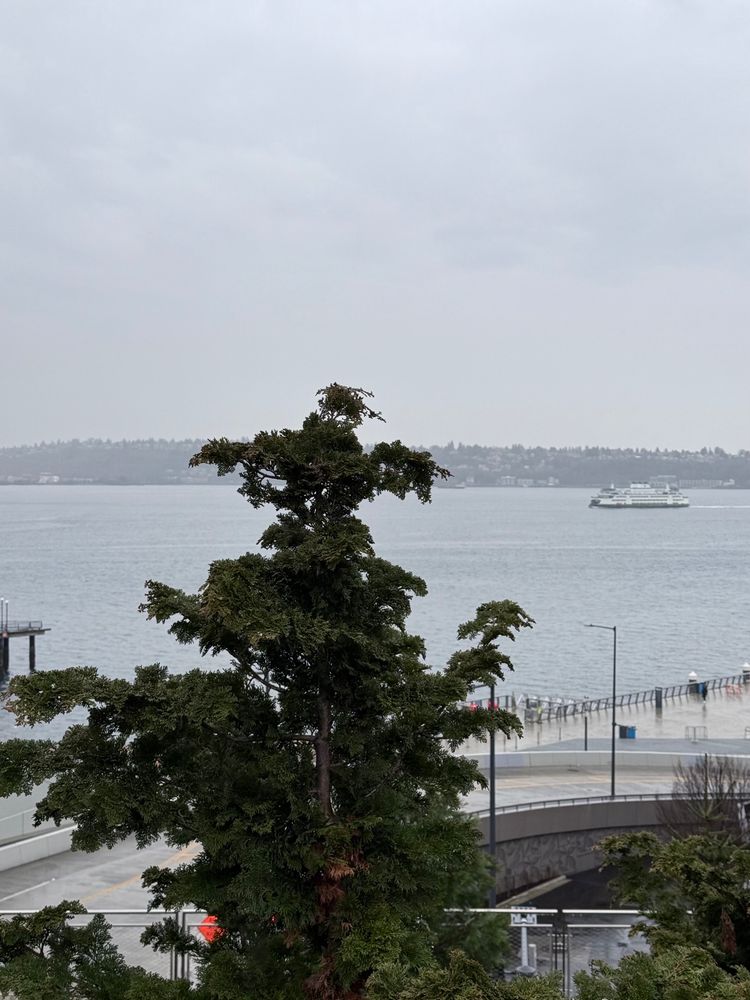 A Washington State ferry coming into Seattle on a rainy day.
