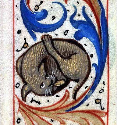 An illustration of a cat licking itself in the margins of a medieval manuscript.