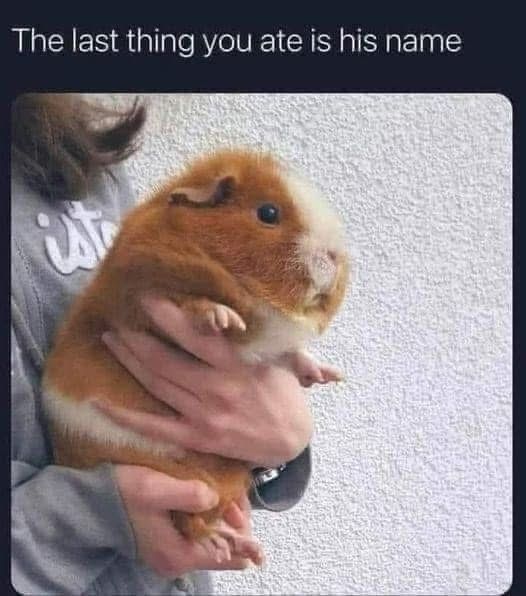 A person holding a light brown and white Guinea pig. The text at the top reads “The last thing you ate is his name”