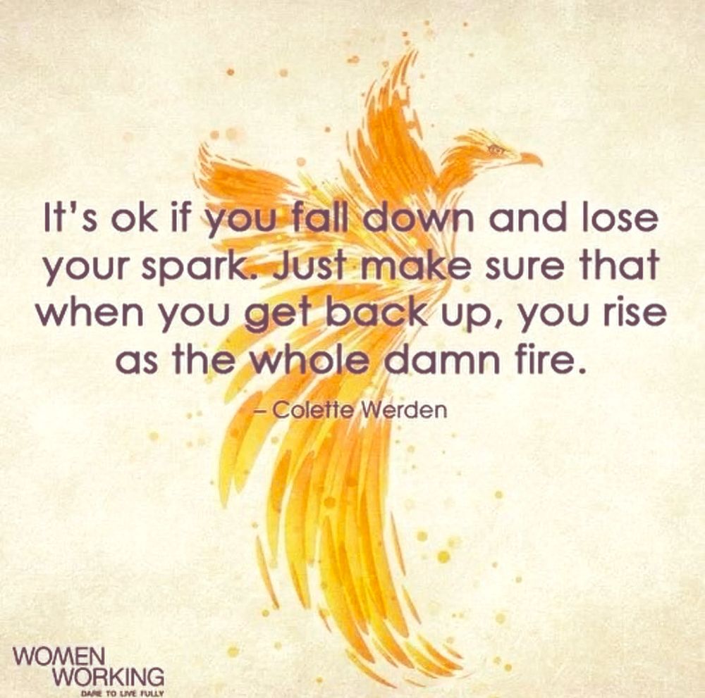 A powerful phoenix bursts into flight on a golden parchment sky. Flames surround it as text reads: “Rise as the whole damn fire.”