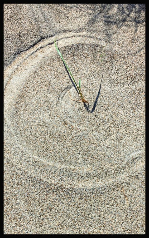 Farbaufnahme im Dünensand, wo ein Grashalm durch Windbewegung einen Kreis zeichnet.