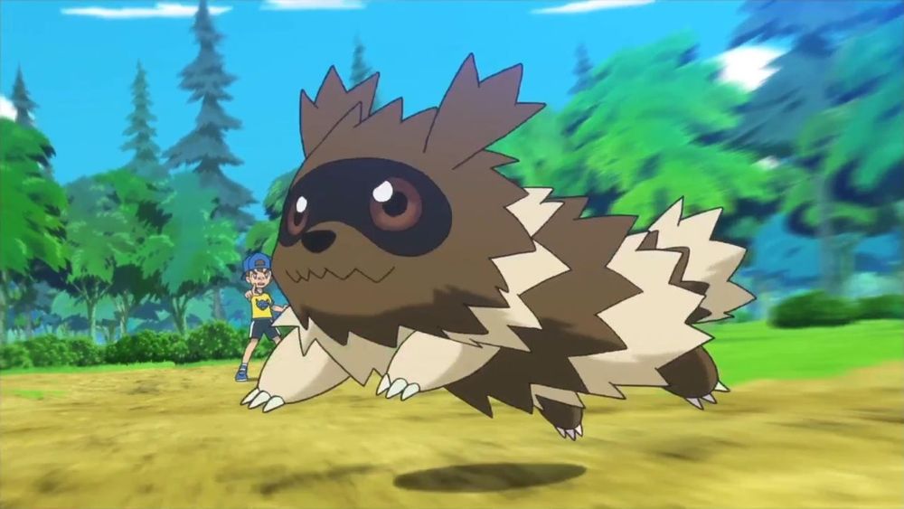 A zigzagoon hovering ominously over the ground
