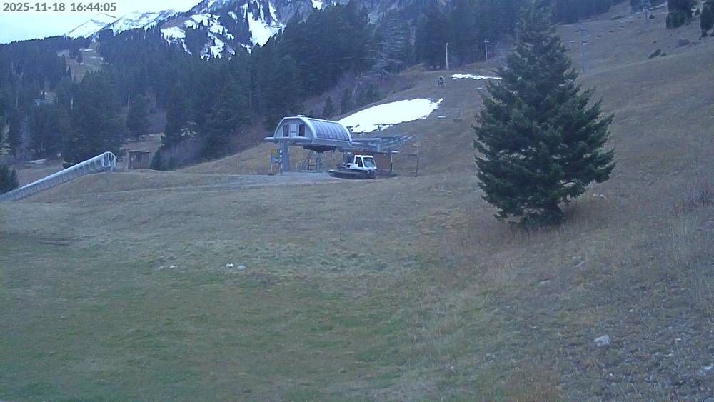 The current view of Deer Park at Bridger Bowl, Montana.

2025-11-18 04:44PM