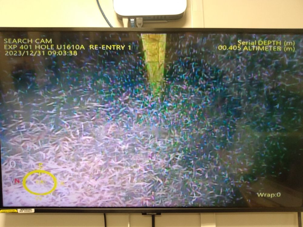 Fish school in ocean south of Faro Portugal