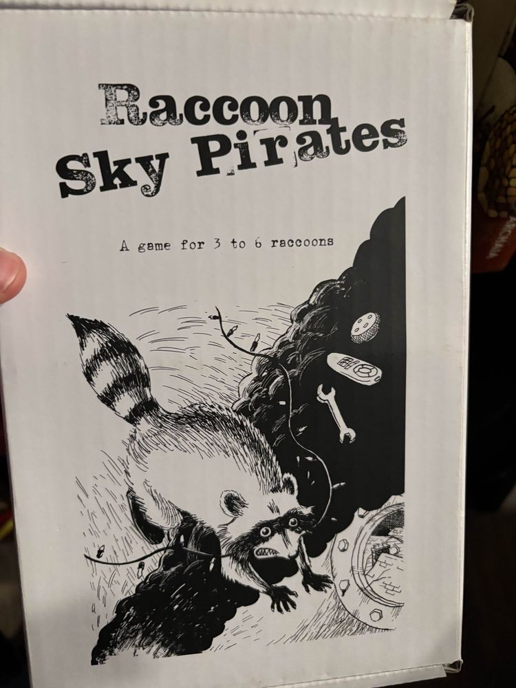The Boxset of Raccoon Sky Pirates