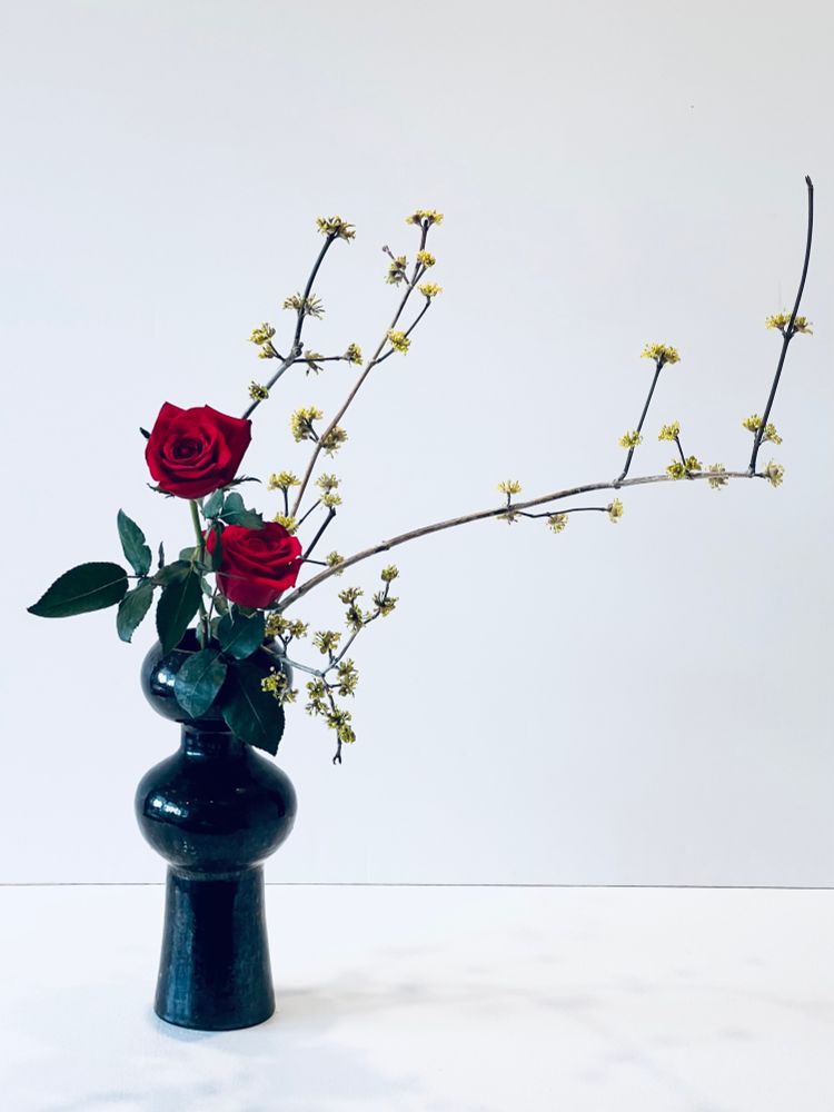 Red roses and yellow blossomed branches in a curvy brown vase.