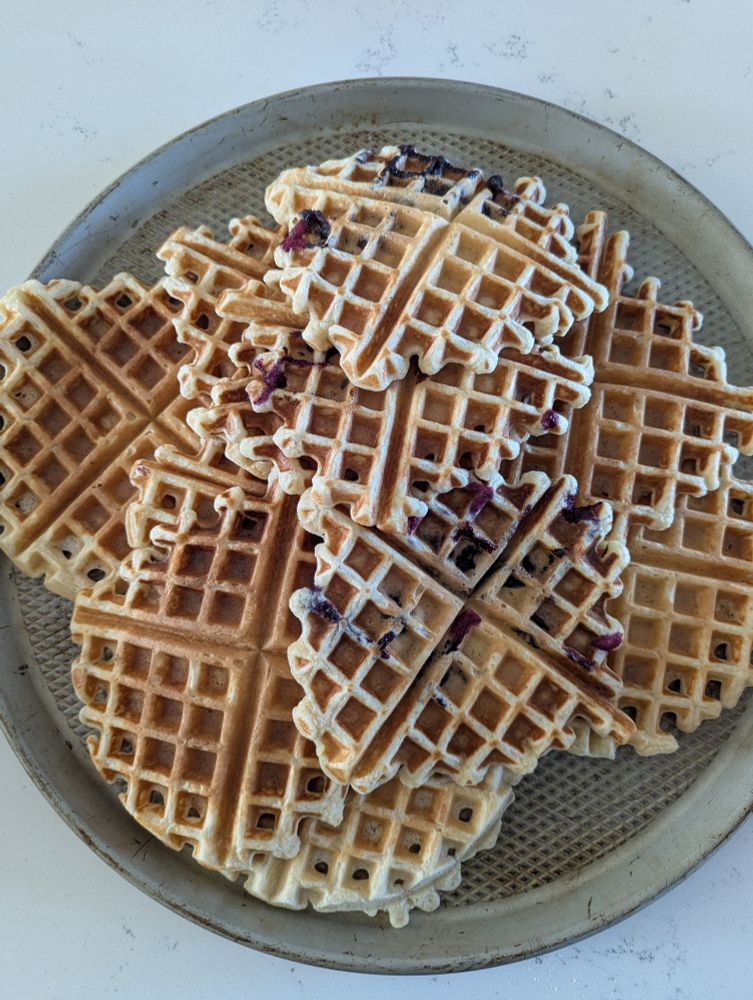 Homemade blueberry and plain waffles piled on a tray
