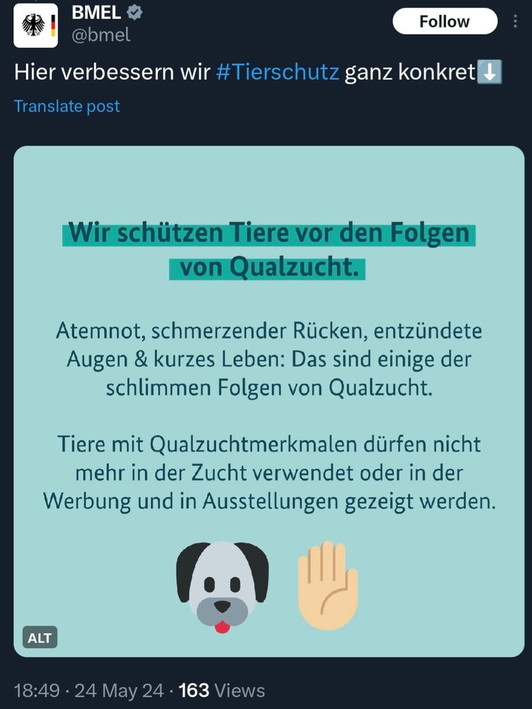 @bmel [Twitter]: Wir schützen Tiere vor den Folgen von Qualzucht. Atemnot, schmerzender Rücken, entzündete Augen & kurzes Leben: Das sind einige dera schlimmen Folgen von Qualzucht. Tiere mit Qualzuchtmerkmalen dürfen nicht mehr in der Zucht verwendet oder in der Werbung und in Ausstellungen gezeigt werden