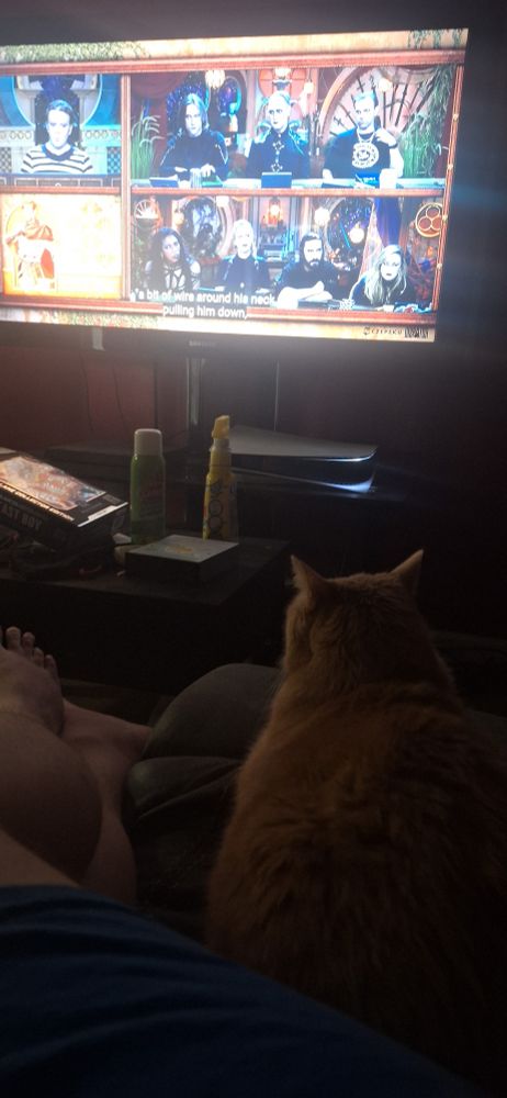 Cat on the couch with me watching Critical Role