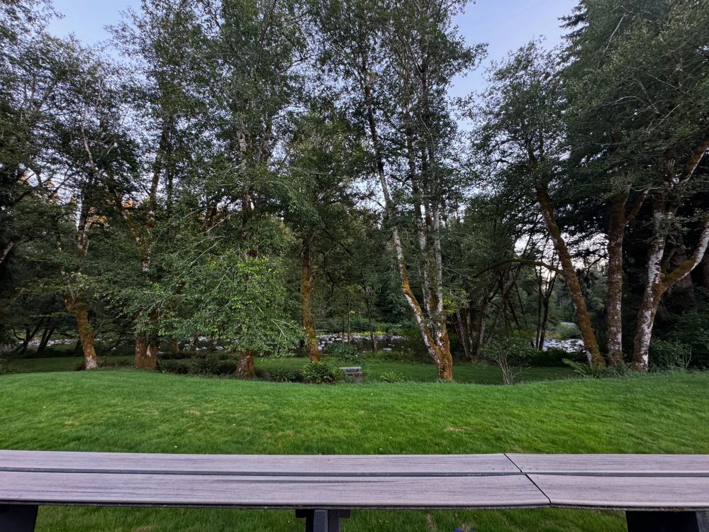 Picture of Sol Duc River in WA from back deck