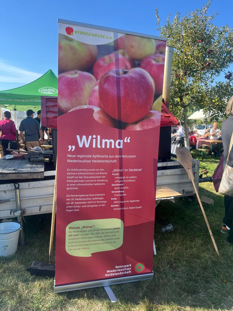 Auf einem Fest steht ein Aufsteller, der die neue Apfelsorte Wilma vorstellt.