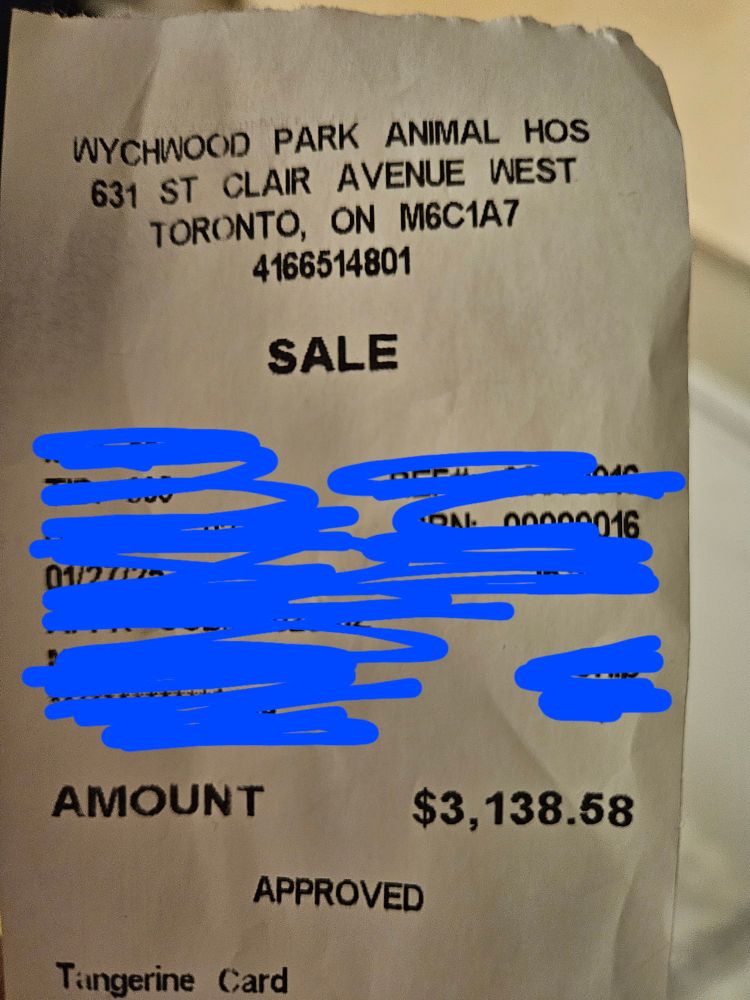 Picture of vet bill costing over 3000 CAD.