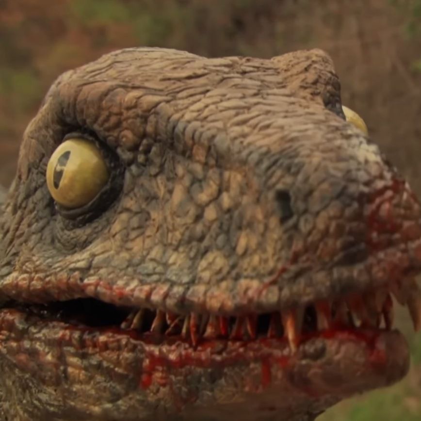 c'est le dinocon de 100 millions bc