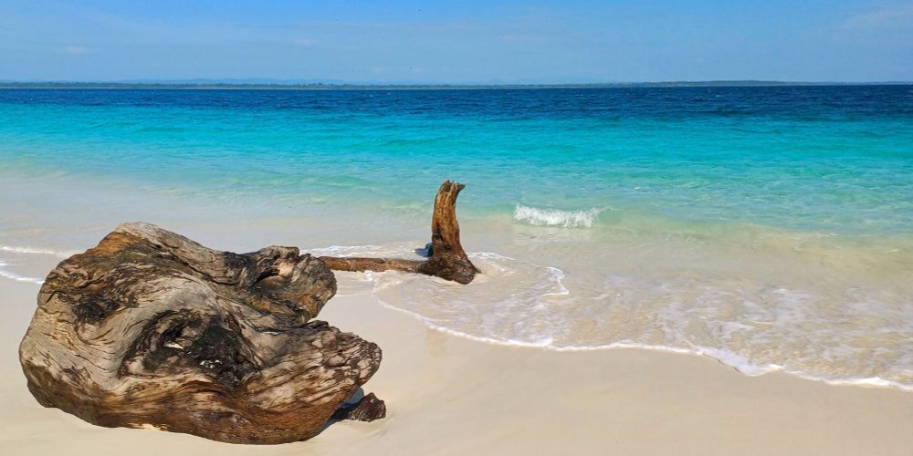 Pazifischer Traumstrand mit türkisblauem Wasser, weißem Sand und Treibholzstämmen im seichten Wasser der Isla Iguana