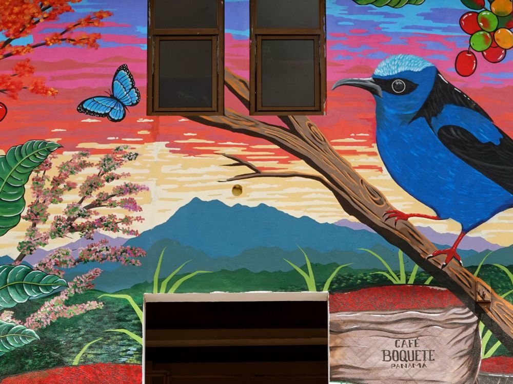 Detailansicht des oberen Teils des Murals, die den blauen Vogel mit schwarzen Markierungen und roten Füßen auf einem Holzast zeigt. Im Hintergrund sind blaue Berge zu sehen, ein blauer Schmetterling schwebt in der Luft, und der Himmel zeigt einen spektakulären Sonnenuntergang in Rosa-, Orange- und Blautönen. Links sind Kaffeekirschen an grünen Zweigen und blühende Bäume zu sehen.