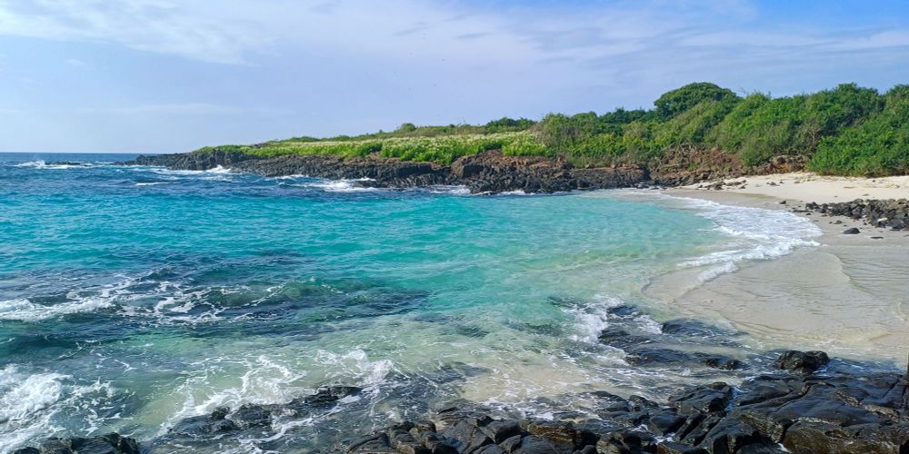 Küstenlandschaft der Isla Iguana mit türkisfarbenem Meer, vulkanischen Felsen im Wasser, Sandstrand und tropischer Vegetation