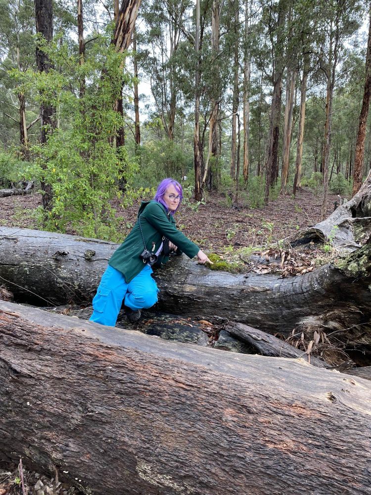 A girl in a forest, posing on a mossy log, poking the moss. She has purple hair and a film camera. 
