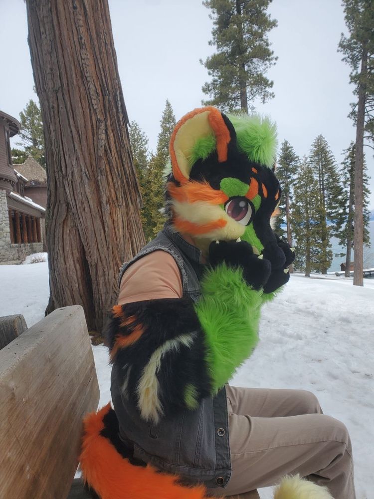 Butternut sitting on a bench, paws to snout, surrounded by snow.