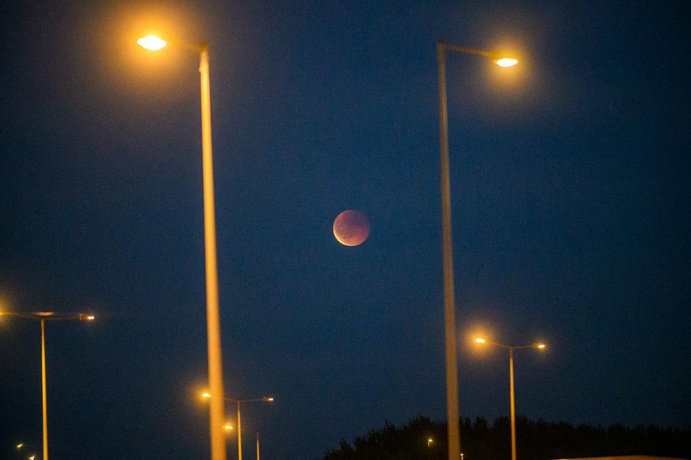 De verduisterde maan schijnt tussen straatverlichting door.
